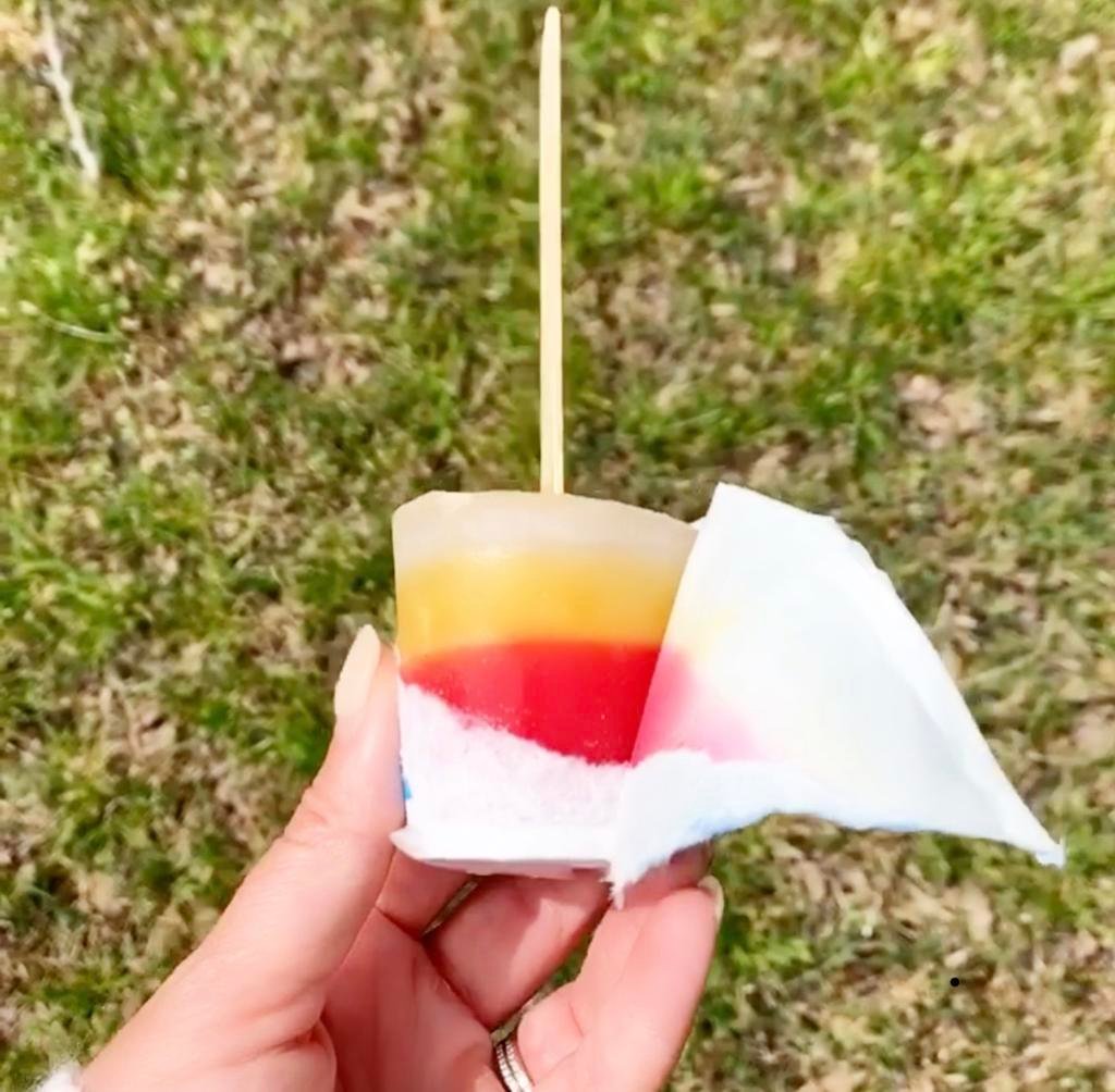 9 Dixie-Cup Popsicle Recipes - How to Make Popsicles in Paper Cups