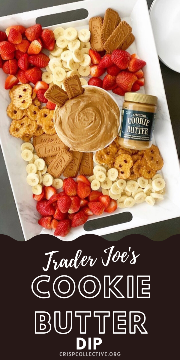 Cookie Butter Pretzel Dip – Lemon Tree Dwelling