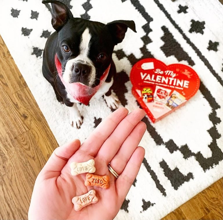 Lincoln Love Crisp Collective