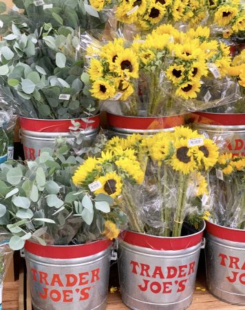 2020 Fall Favorites from Trader Joe's - Crisp Collective